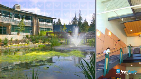 Green River College photo #8