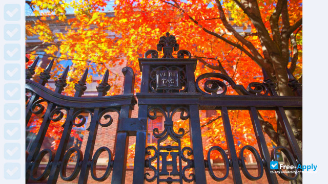 Harvard University photo #6