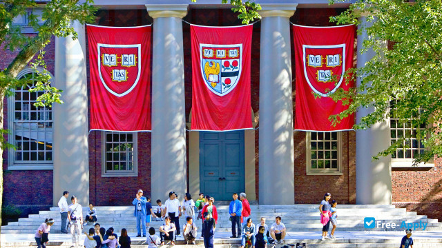 Harvard University photo #12