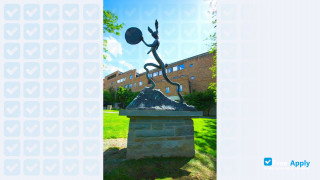 Ithaca College thumbnail #9