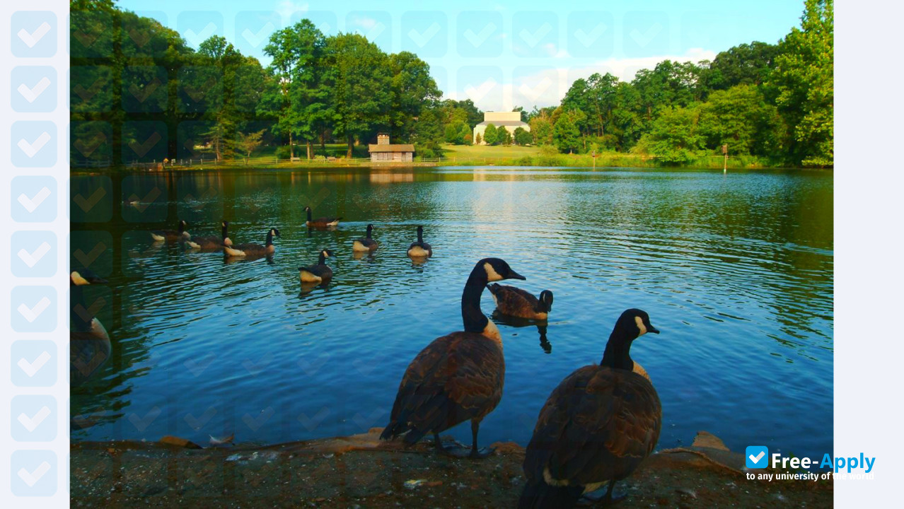 Haverford College photo #8