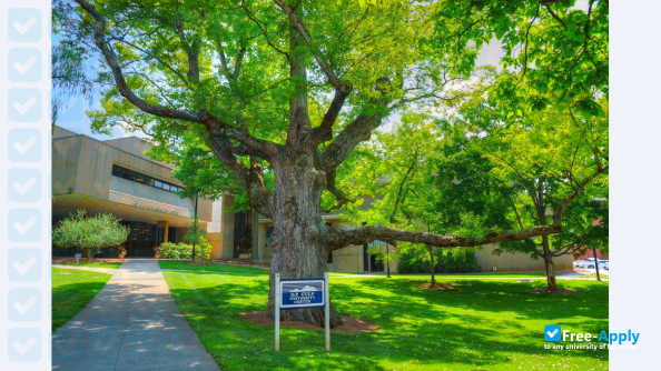 East Tennessee State University photo #7