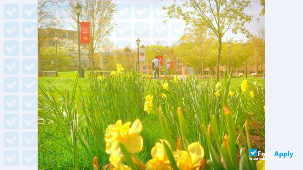 Photo de l’Fairfield University #2