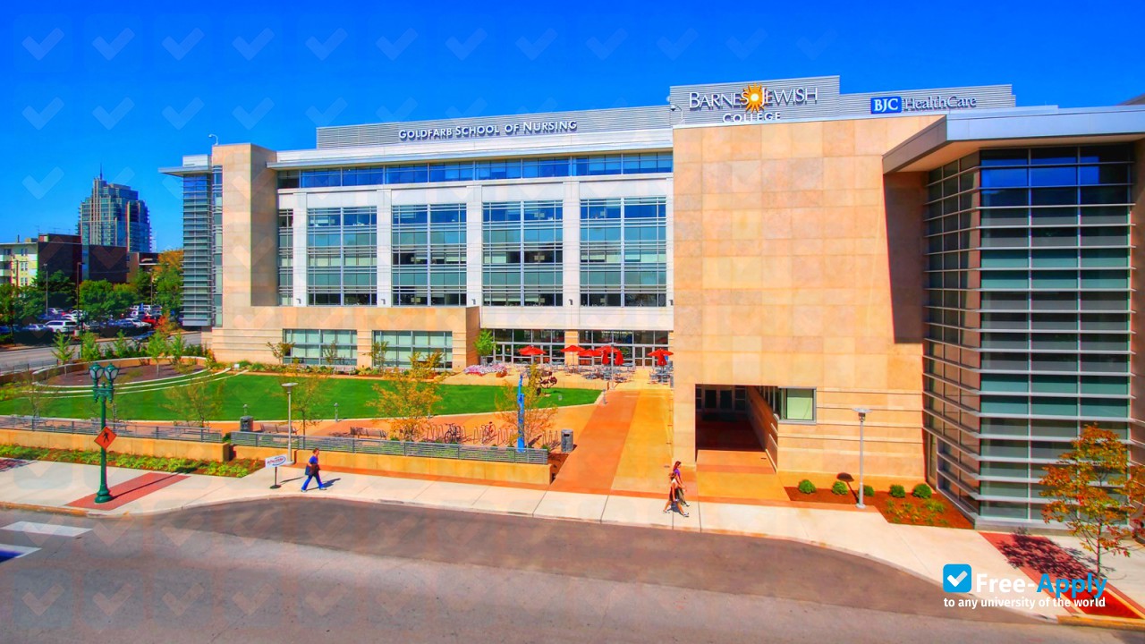 Goldfarb School of Nursing at Barnes-Jewish College photo #10