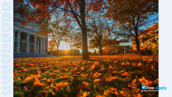 Gonzaga University фотография №6