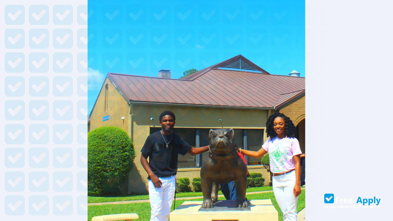 Foto de la Jarvis Christian College #12