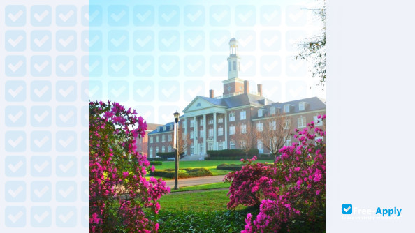 Judson College Alabama фотография №7