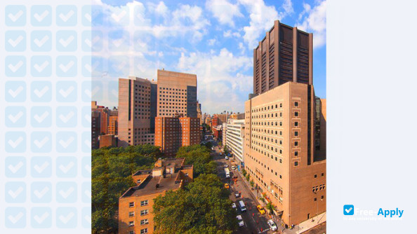 Icahn School of Medicine at Mount Sinai photo #1