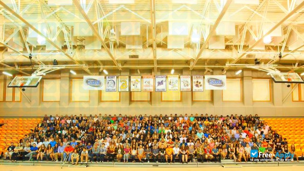 Hendrix College photo #8