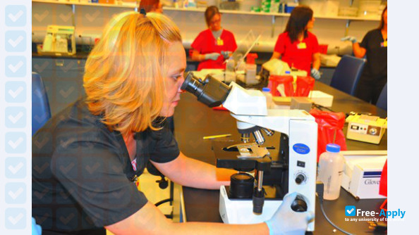 Photo de l’Marion Technical College #9