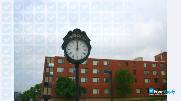 Photo de l’Grace University #2
