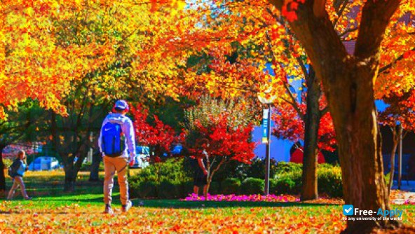 Eastern Mennonite University photo #9