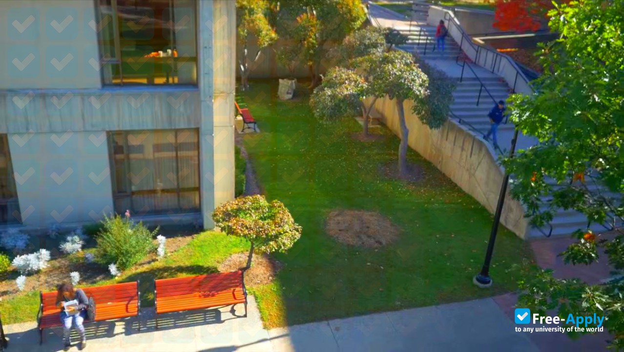 Massachusetts College of Liberal Arts photo #11