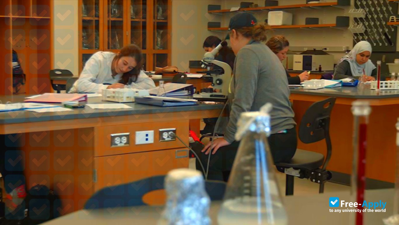 Massachusetts College of Liberal Arts photo #13