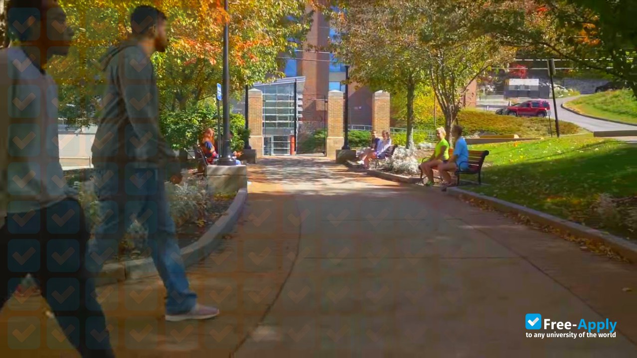 Massachusetts College of Liberal Arts photo #9