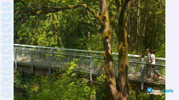 Lewis & Clark College photo