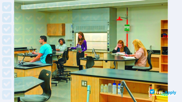 Henry Ford Community College photo #7