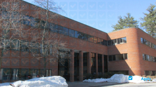 Massachusetts School of Law photo #8