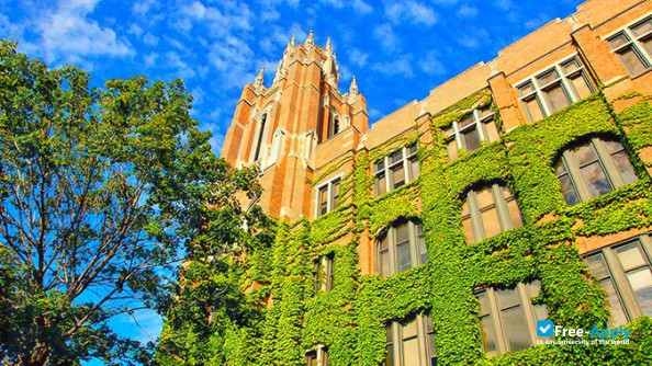 Foto de la Marquette University #9