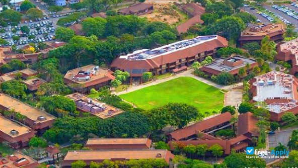 Kapi'olani Community College фотография №6