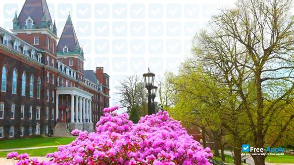 Holy Cross College photo #7