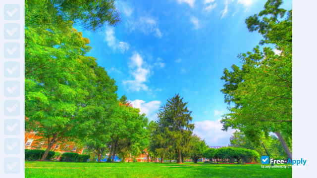 Hood College photo #8