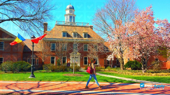 Lafayette College photo #2