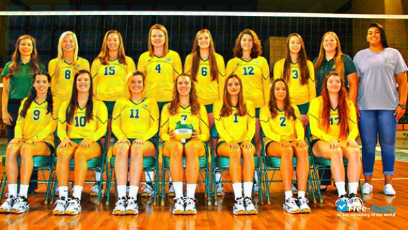 Midland College photo #4