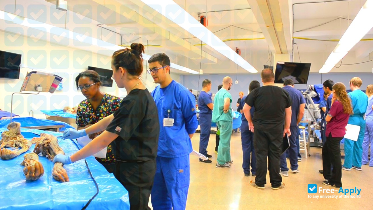 Photo de l’Eastern Virginia Medical School #13