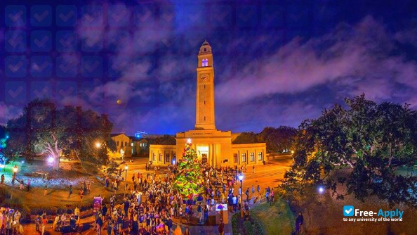 Louisiana State University фотография №11