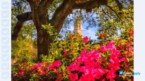 Photo de l’Louisiana State University #6