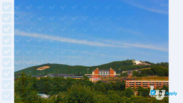 Photo de l’Liberty University #17