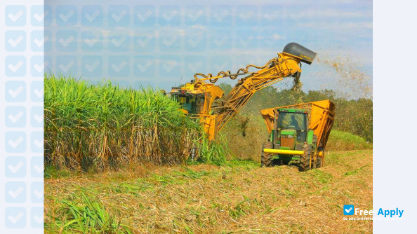 Photo de l’Louisiana State University Agricultural Center #13