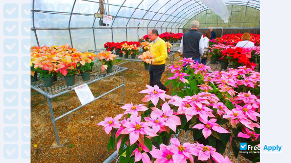 Photo de l’Louisiana State University Agricultural Center #5