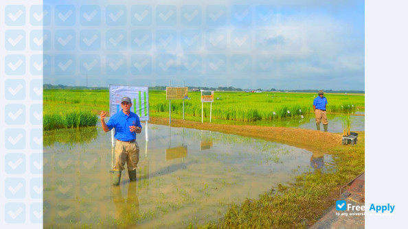 Louisiana State University Agricultural Center photo #15