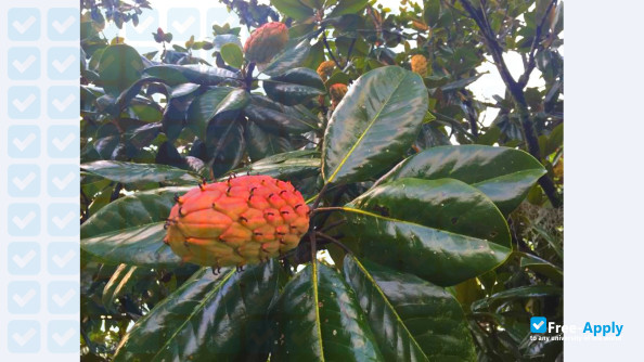 Photo de l’Louisiana State University Agricultural Center #6