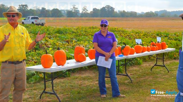 Photo de l’Louisiana State University Agricultural Center #9
