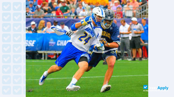 Limestone College photo #10