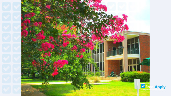 Foto de la Louisiana State University of Alexandria #8