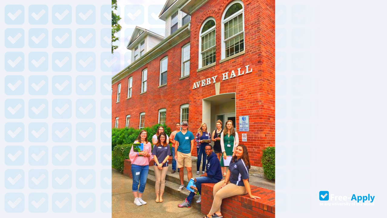 Lincoln Memorial University photo #10