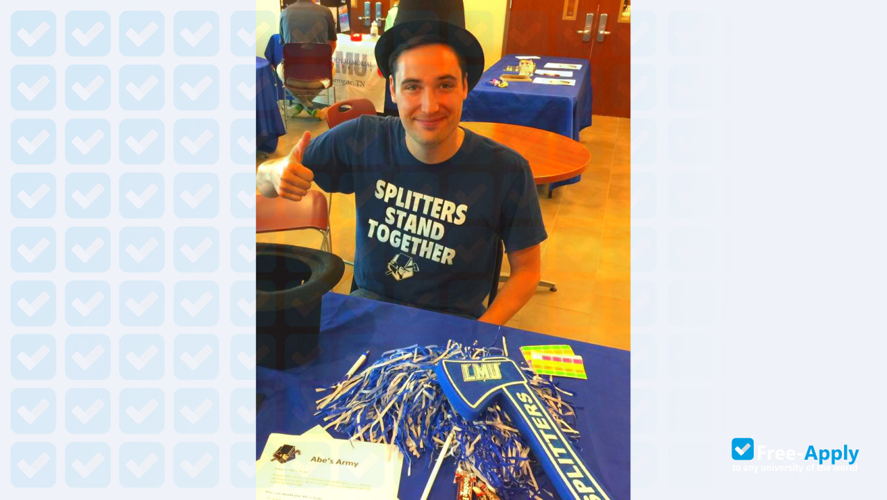 Lincoln Memorial University photo #2