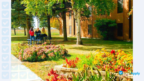 Mayville State University photo #12