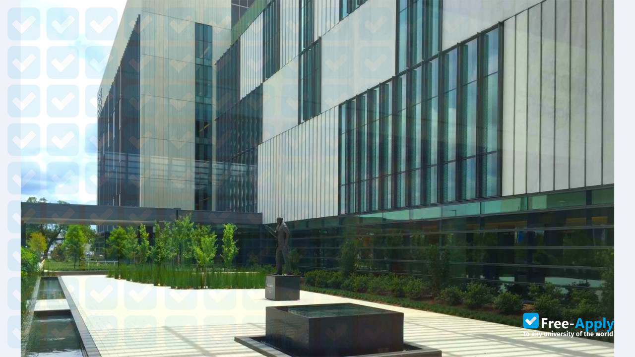 Louisiana State University Health Sciences Center New Orleans photo #10