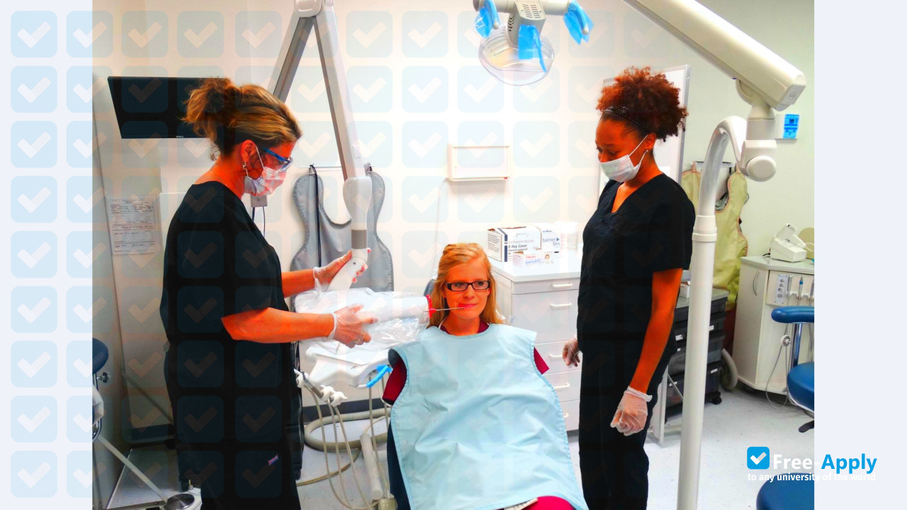 Midwest Institute for Medical Assistants photo #10