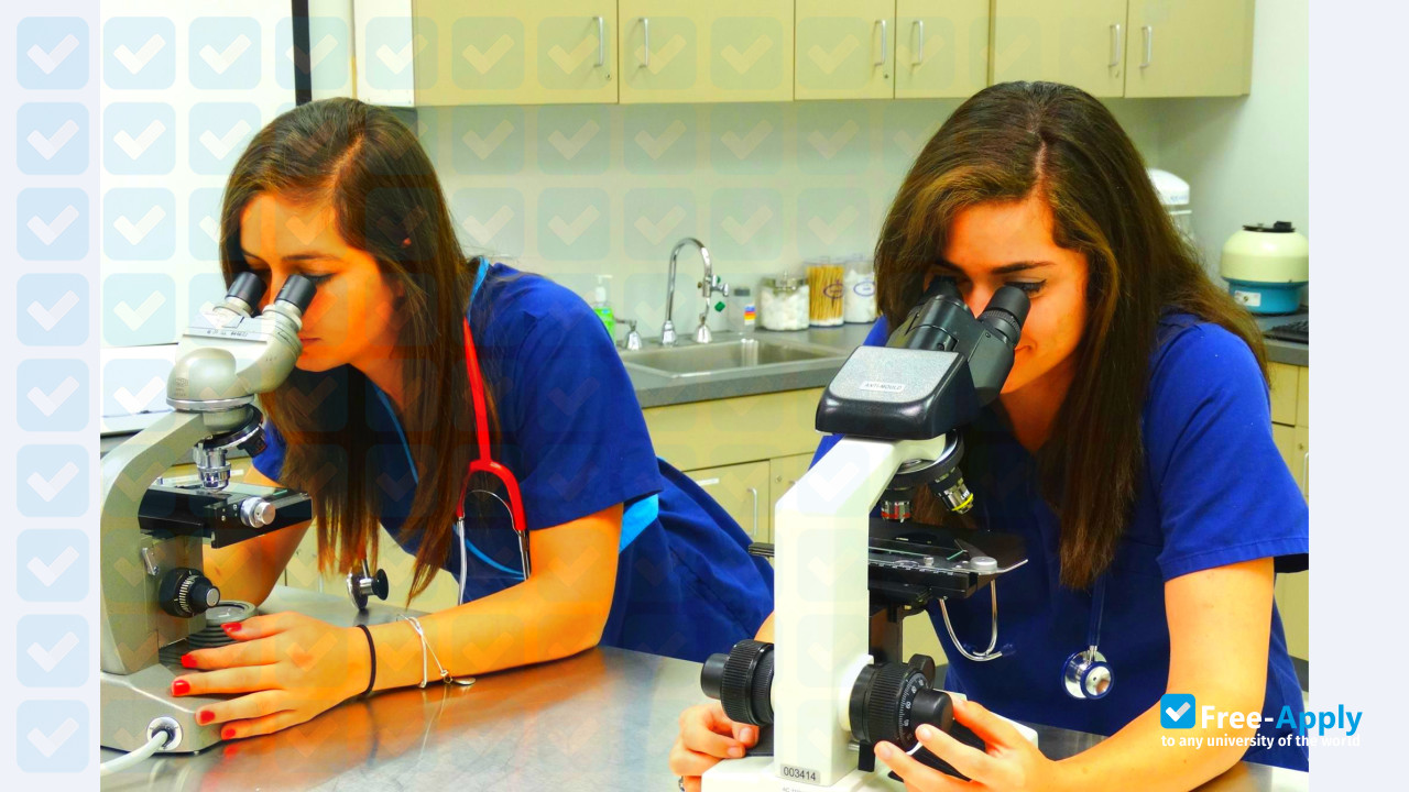Midwest Institute for Medical Assistants photo #2