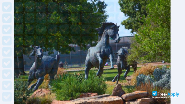 Foto de la Midwestern State University #10