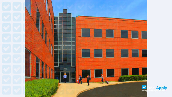 Foto de la Mildred Elley School #10