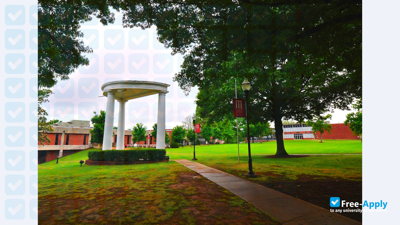 Photo de l’Martin Methodist College #6