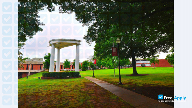 Martin Methodist College photo #10