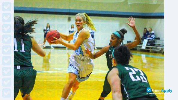 Foto de la Lasell College #4